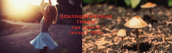 не бодяженный Арсеньев