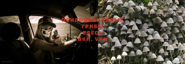 не бодяженный Арсеньев