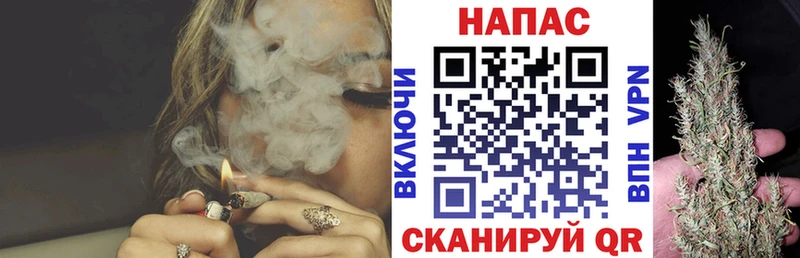 Шишки марихуана конопля  Салехард 